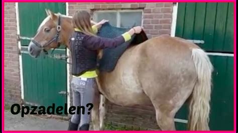 paarden sex|sex met paard Search